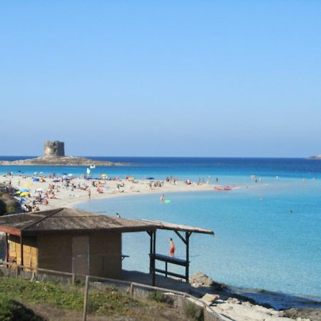 Al Martin Pescatore Stintino Exterior photo